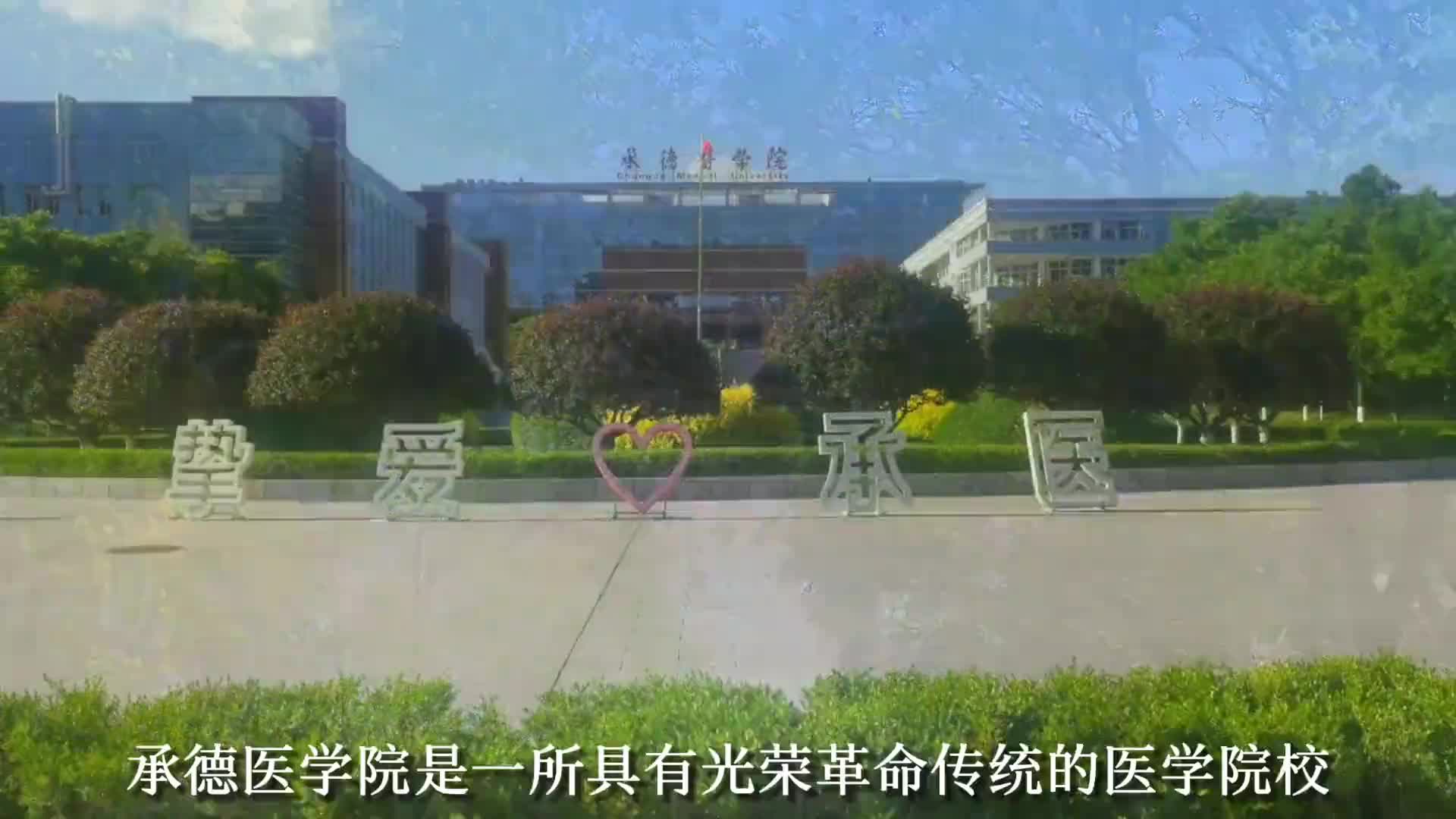 【大学图鉴】河北高校合集