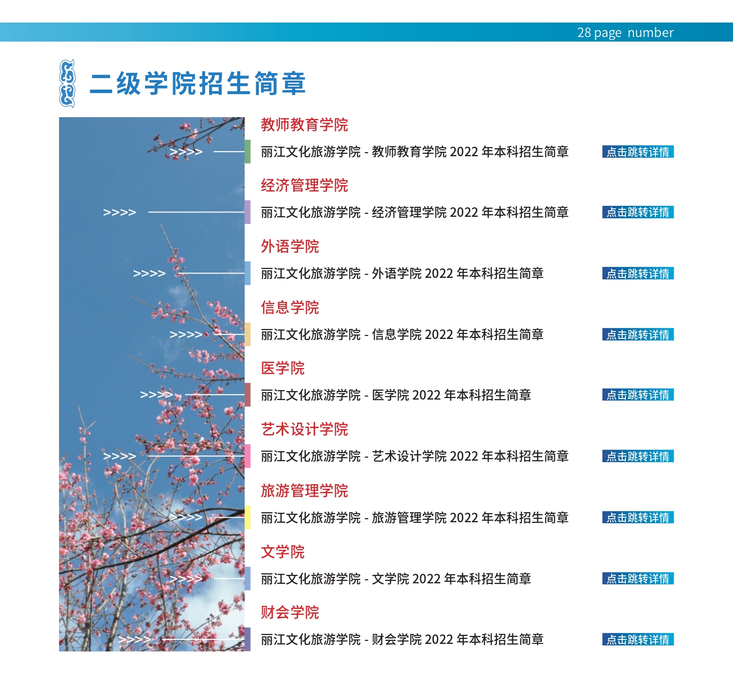 丽江文化旅游学院2022年本科招生简章_page-0029